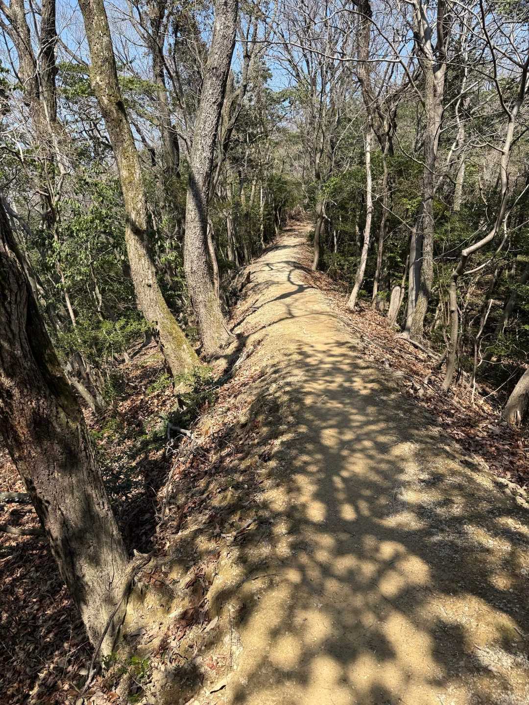 とても良い。