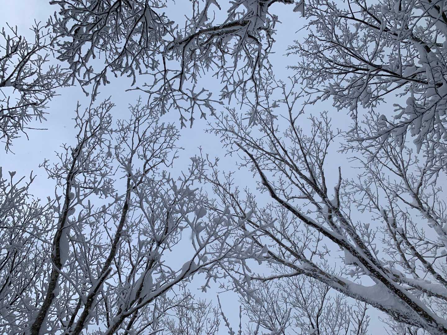 美しい✨✨