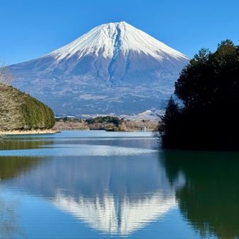 ここでもフレクション