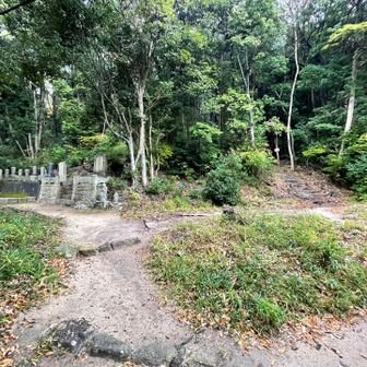 登山口は右側です