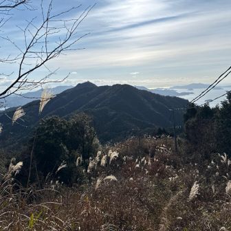 登山道になると急登になった。😩
途中で振り返って撮る。

