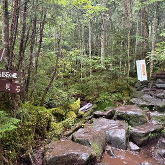 ここからも高見石小屋方面に行けるんだな。