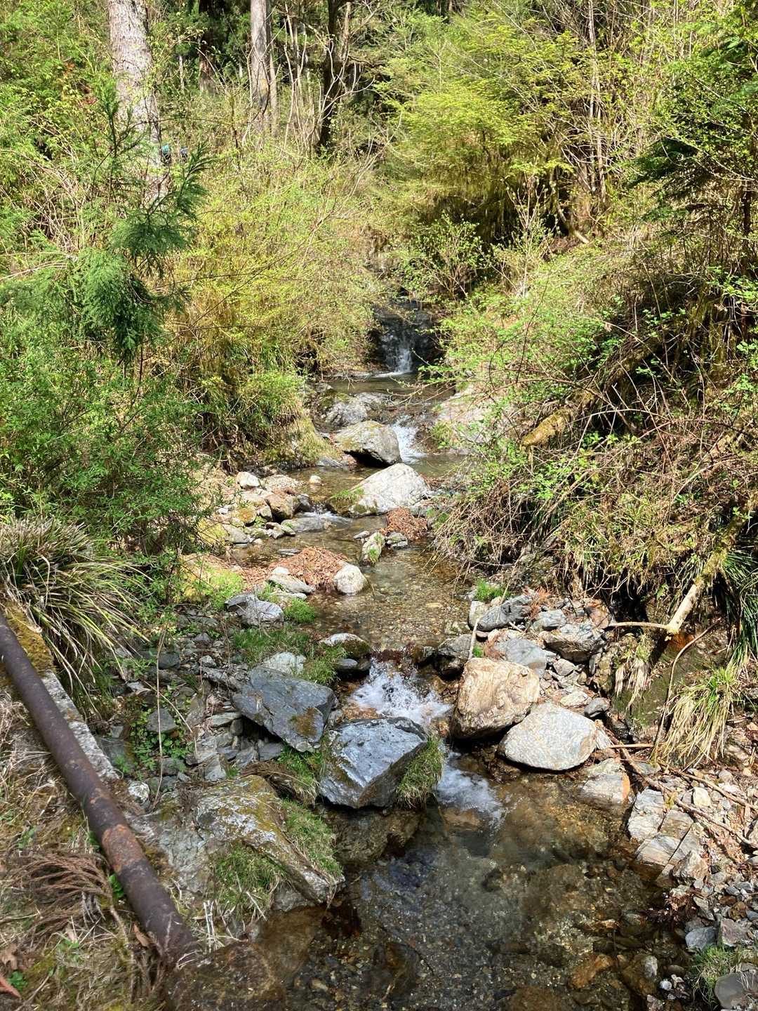 月山 縦走コースの写真