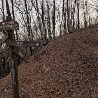 小屋前の分岐
上西家跡へは崩落で行けません。通行止めのテープが切れてます。注意⚠️