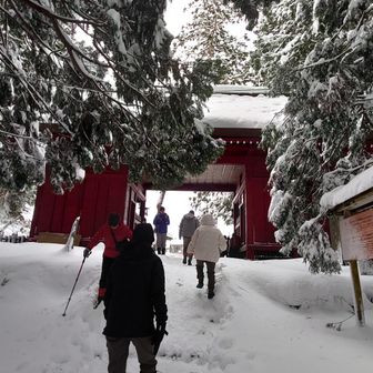 駐車場に戻る。車で羽黒山山頂にある出羽三山神社へ。石段ルートから登山で行きたかった…残念😞
