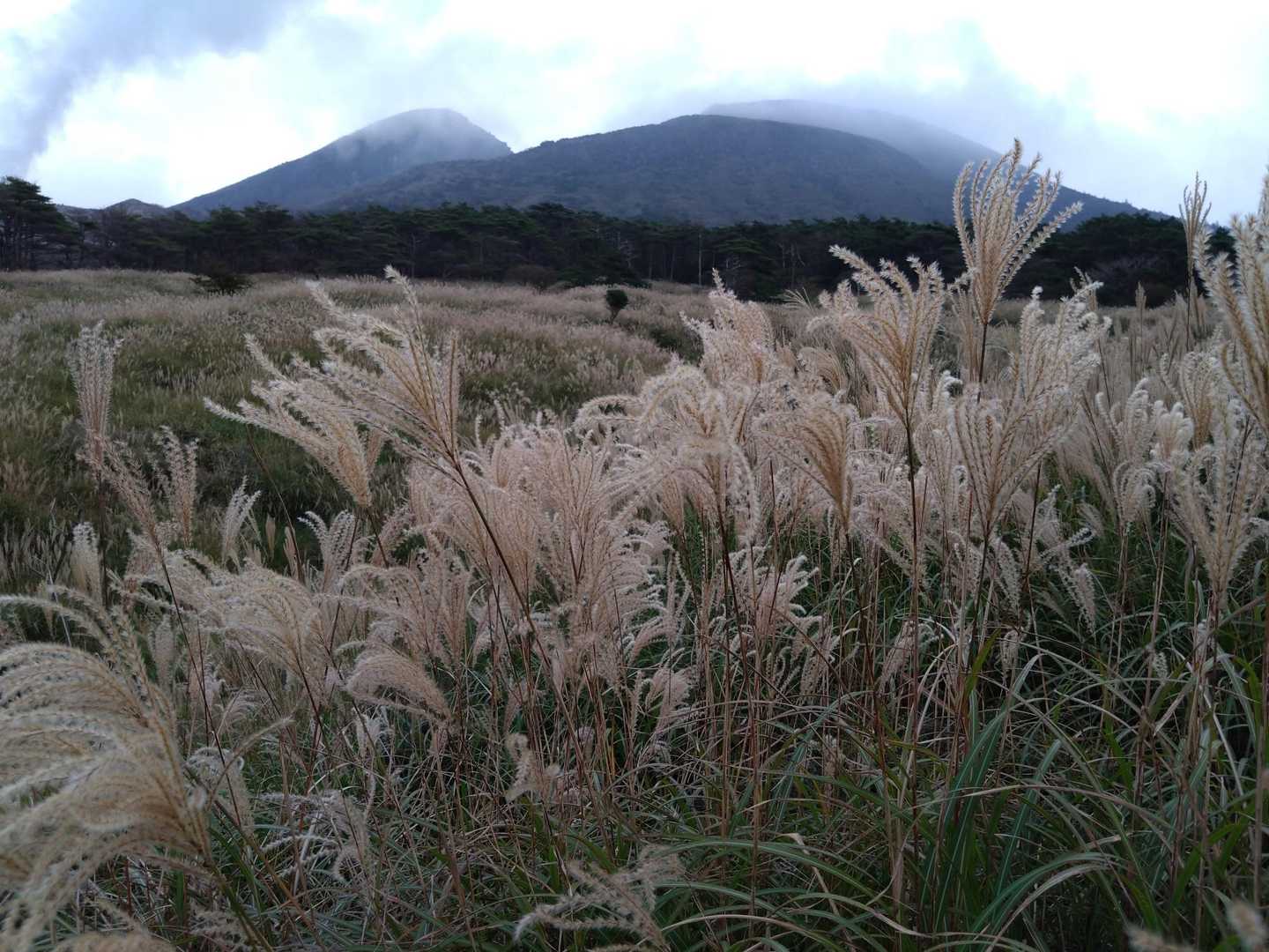 🌾🌾🌾癒やされる〜🤤