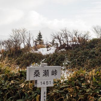 トンネルができる前、人はここを歩いて越えていたのかな