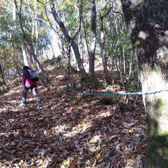 急登盛り沢山💦落葉で登り難い