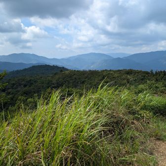 夕暮山あれかな？
緩いアップダウンを進む
