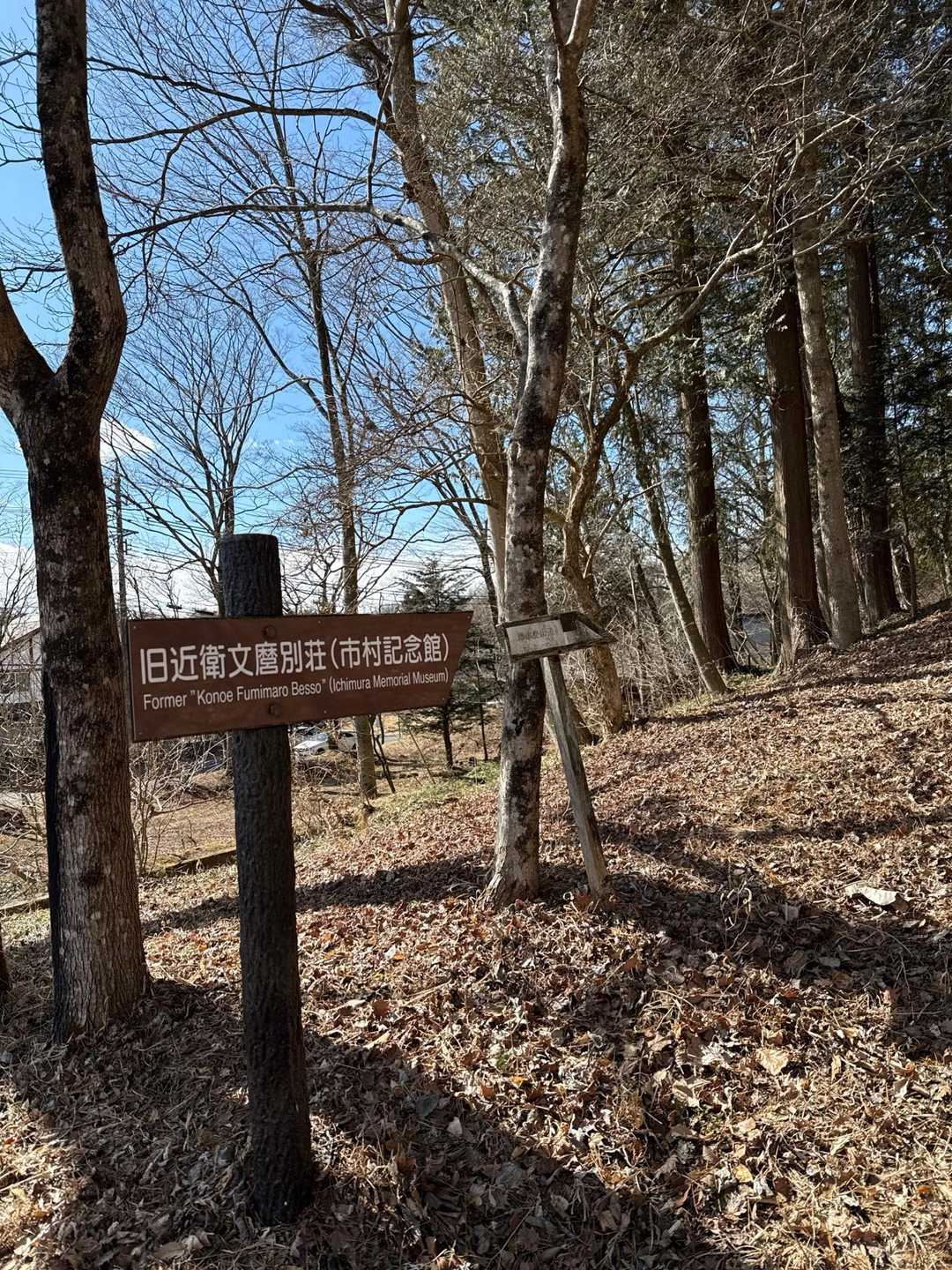 離山南口登山道へ降りてきました