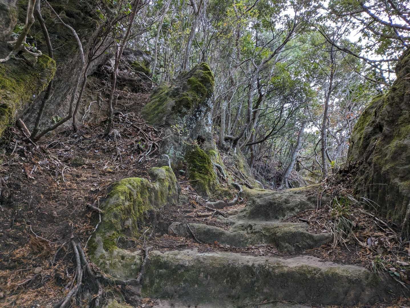 手前の登山道への入り口が分かりにくいです。