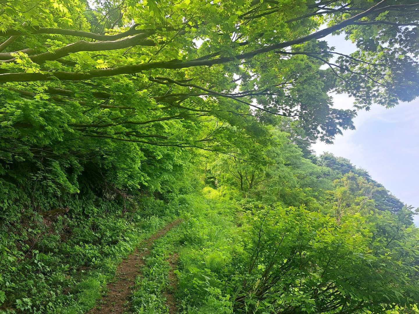 伸びてきた！