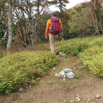 山頂には戻らず、テーブルの南西のへりを行く　この石が分岐の目印