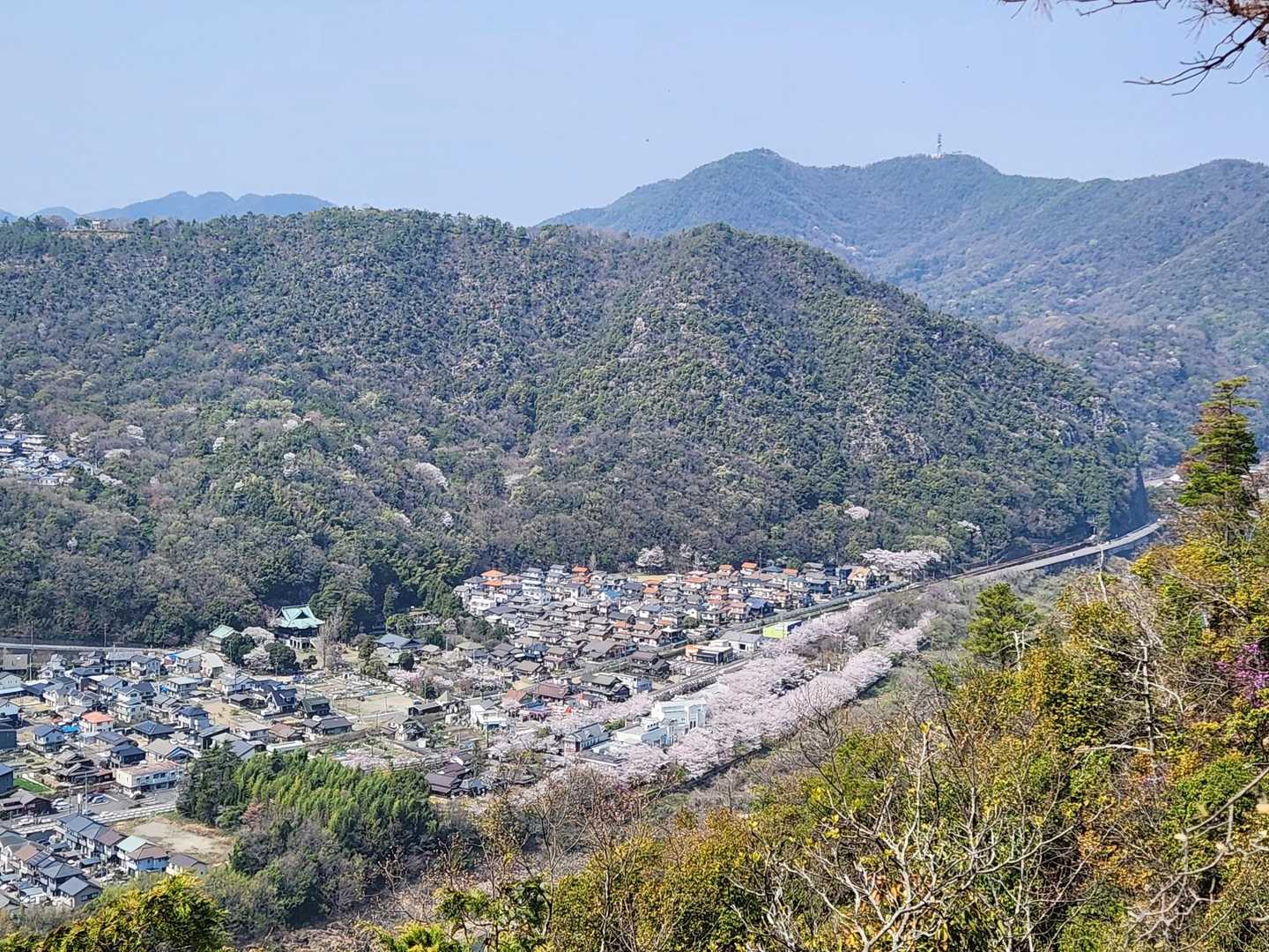 大平山の尾根にある展望台から
眼下に木曽川
対岸に陰平山
奥は各務原アルプスの明王山🫡