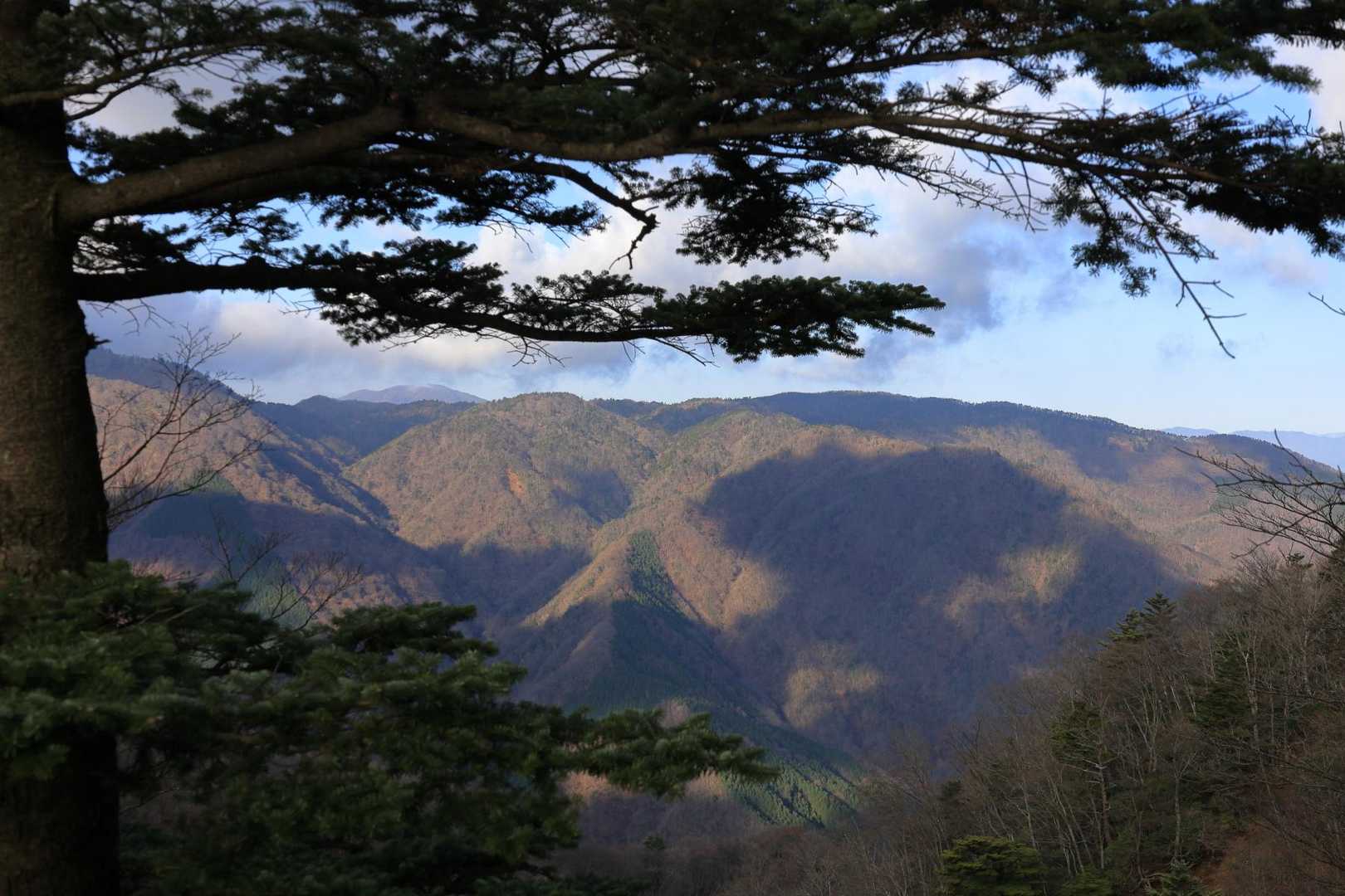 西側には西丹沢の山々。左奥に見えるのが大室山のようです。