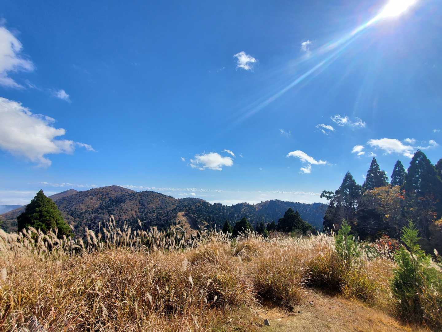 金糞峠-コヤマノ岳-武奈ヶ岳-北比良峠-カモシカ台 周回コースの写真