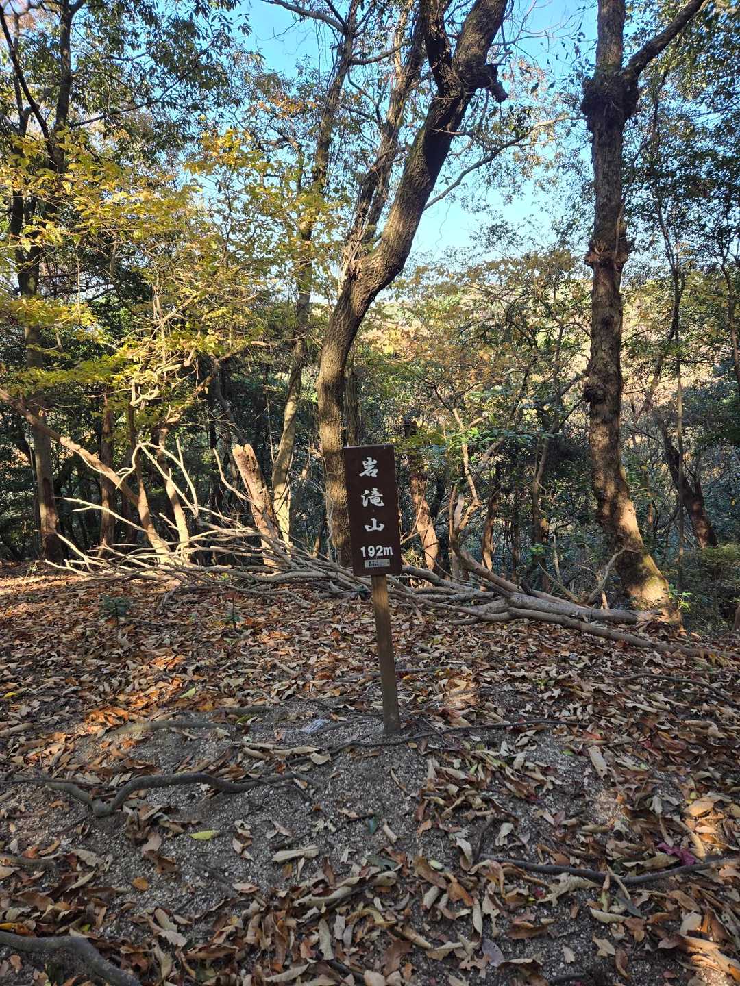 あっという間に山頂へ！