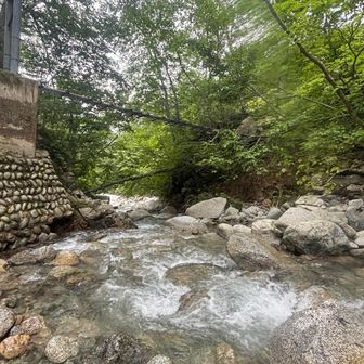 冷水吊り橋