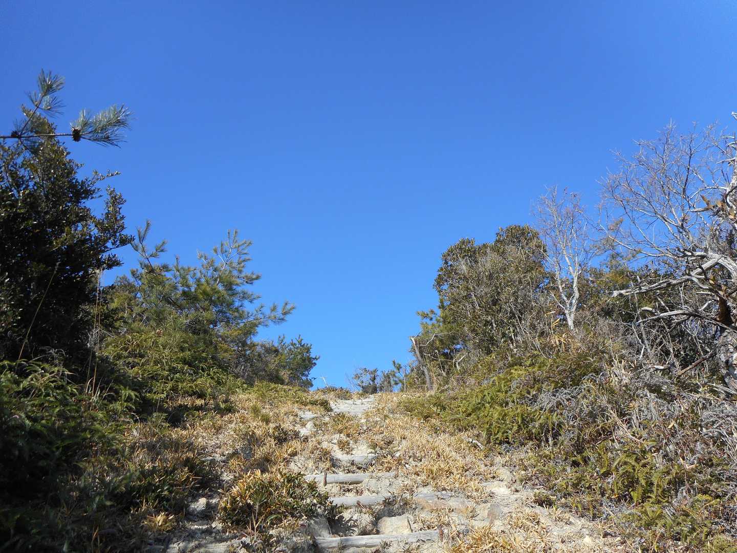 真っ青な空の下での尾根歩き🎵
ぽかぽか陽気に気分爽快🎵
しかし奥さんは…日焼けを心配して顔面フルガードだ～😁✊