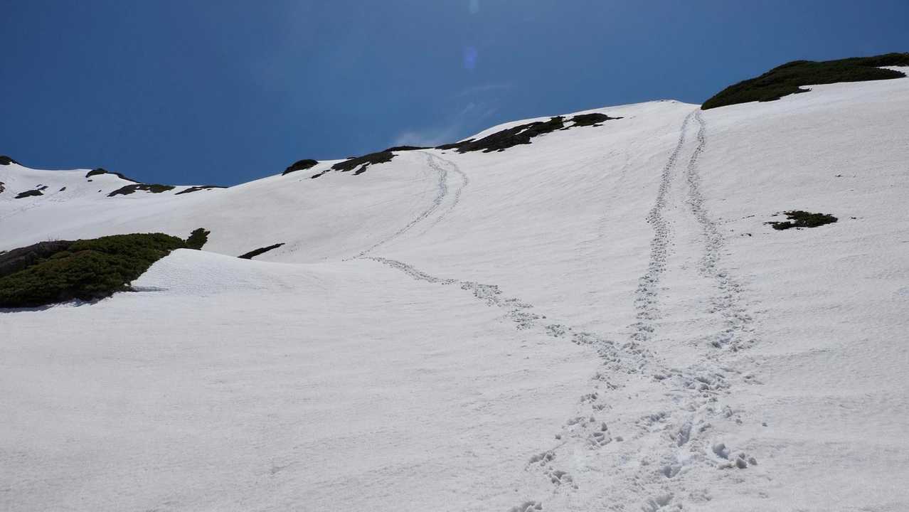 仙丈ヶ岳、残雪期テン泊 の写真 28