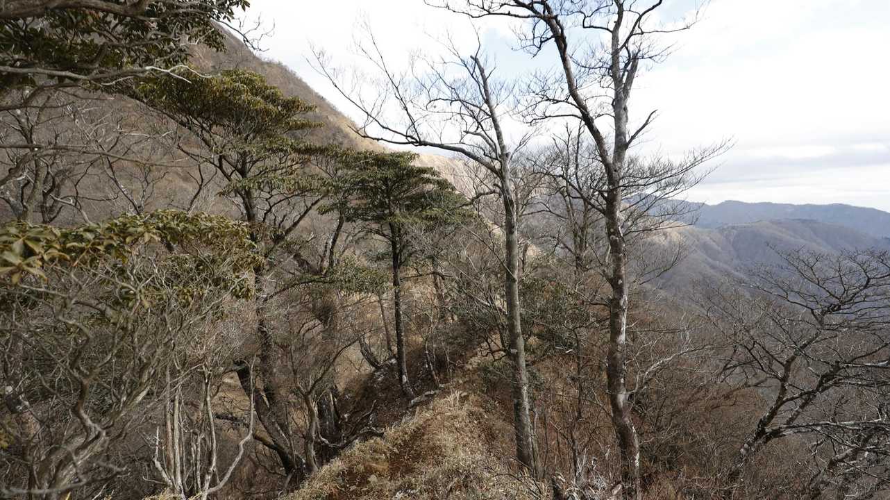 丹沢主脈縦走（檜洞丸•蛭ヶ岳•丹沢山•塔ノ岳•鍋割山） の写真 25