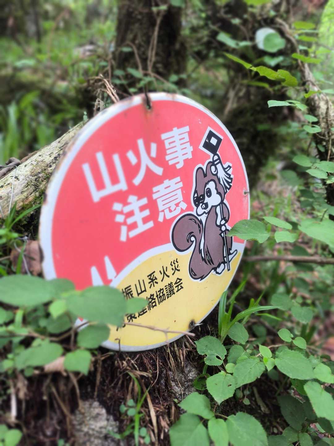 モーリス🐿️