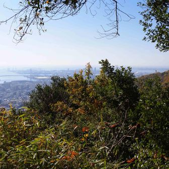 城山山頂から海側