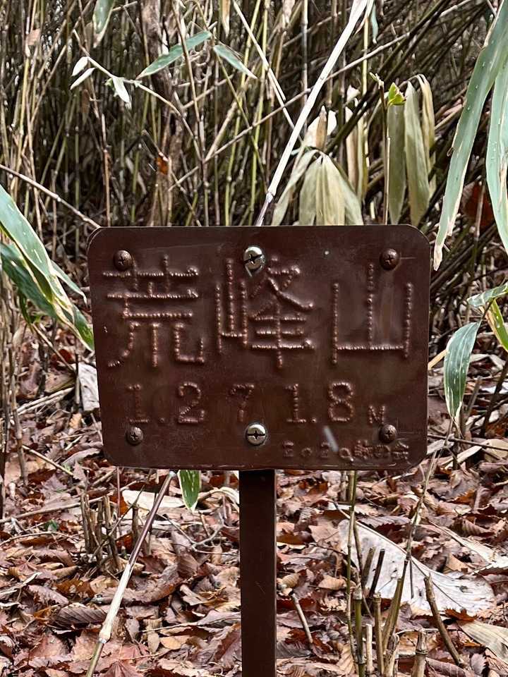 山頂到着
