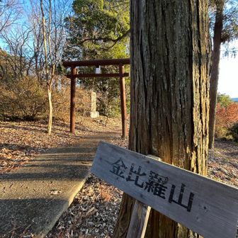 金比羅山　山頂