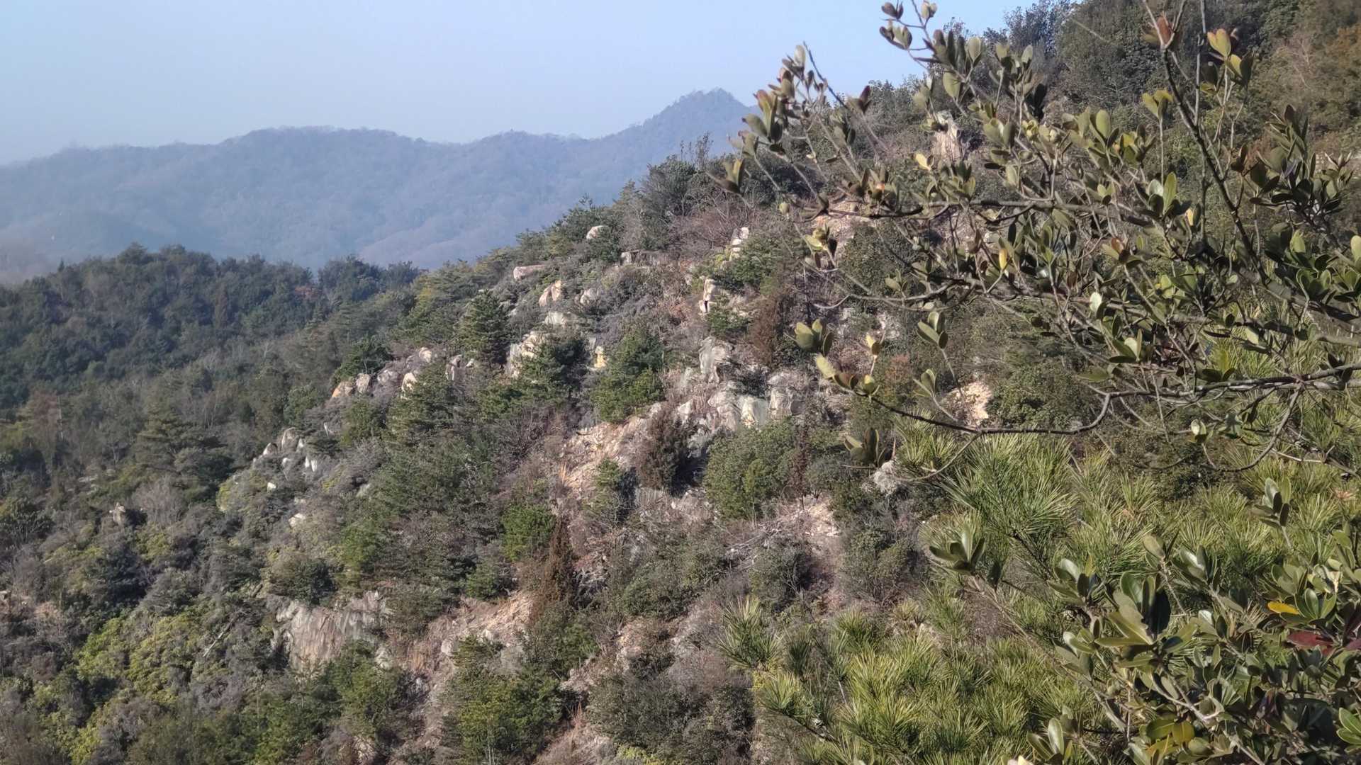登ってきた山✨