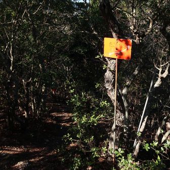 眺望はありません。