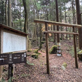 さくっと下って黒岳へ寄り道