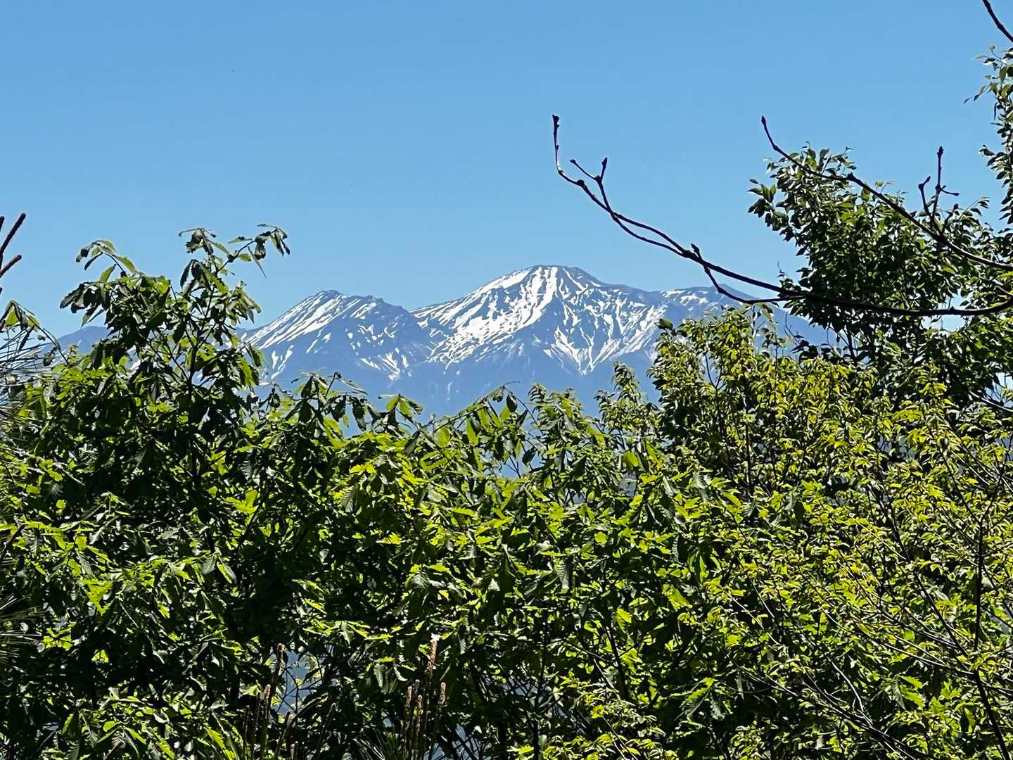 木々の間から御嶽山