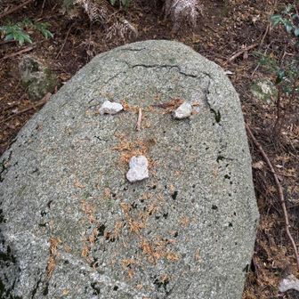 素晴らしい👍　どなたかが作った顔。口の横線が良い感じ！