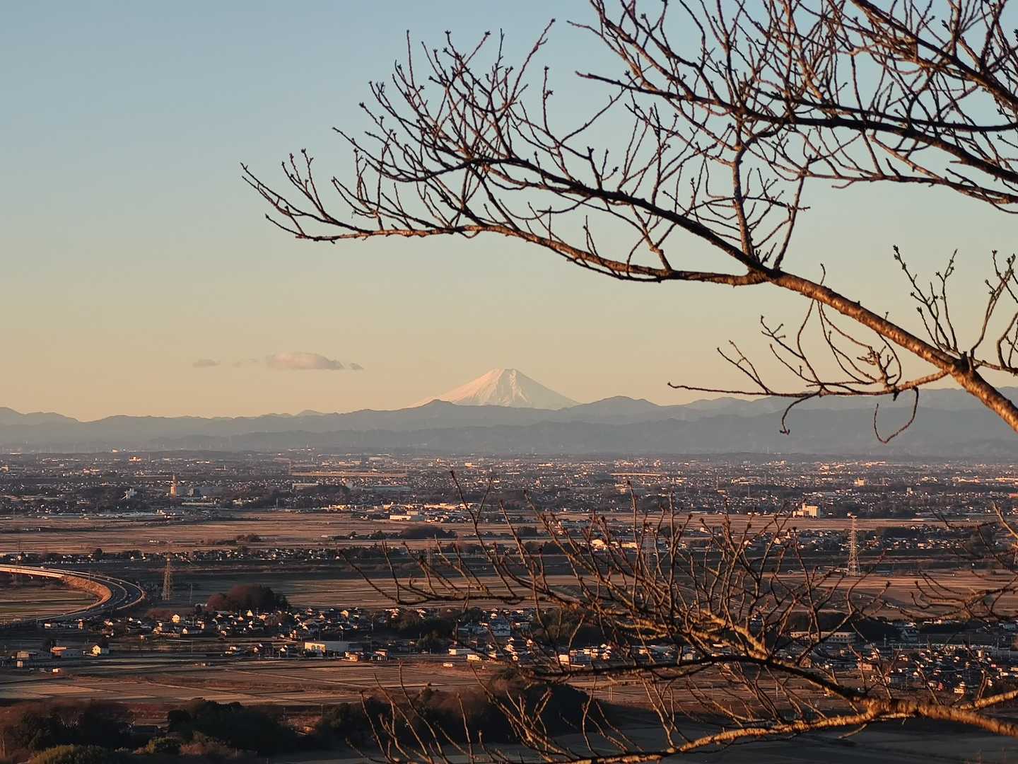 富士山もよく見えました✨
