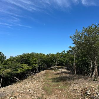 もう一座予定しているので、すぐに下山開始