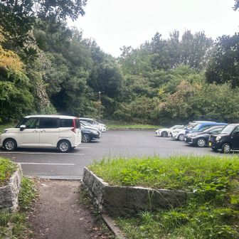 🚙　増えてる😄