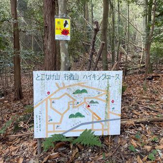 ハイキングコースになっていて山道も整備されています♪