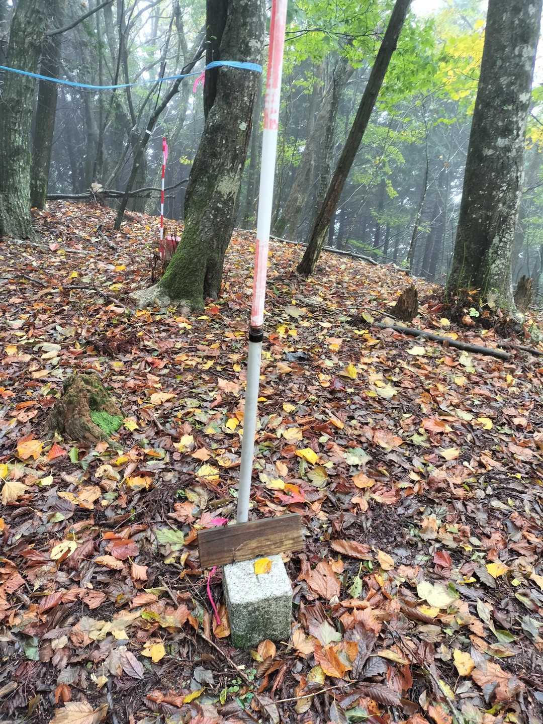 古権現山到着
いずれまた、中三方ケ森〜東三方ケ森の稜線も歩いてみたい
どのくらいかかるのだろう