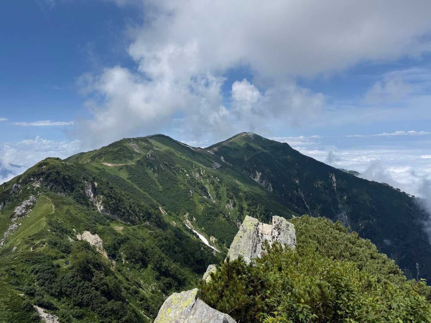 これぞ夏山って感じ✨