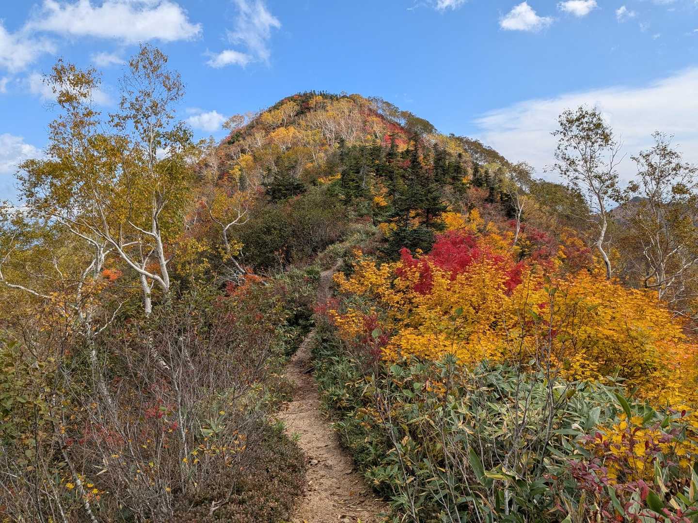 地蔵の頭-二ノ背髪-小遠見山-五竜登山口-中遠見山-大遠見 縦走コースの写真