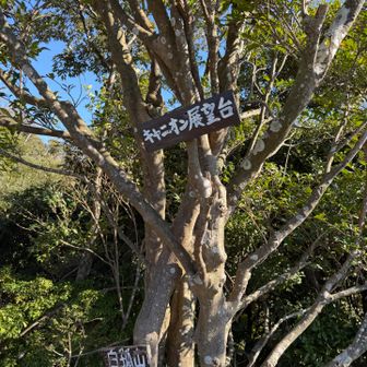 白狐山、グレーピークだけど
登ってみた♡
途中に展望台が✨