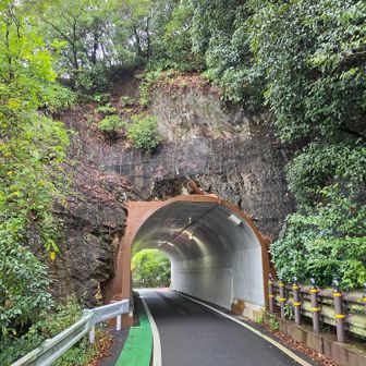 トンネル補強されてました　以前は岩盤そのままで水滴がたれてました