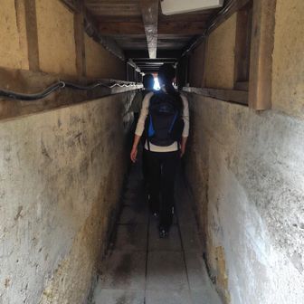 ひんやり涼しい😆