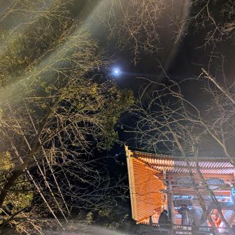 思ったより人多い！