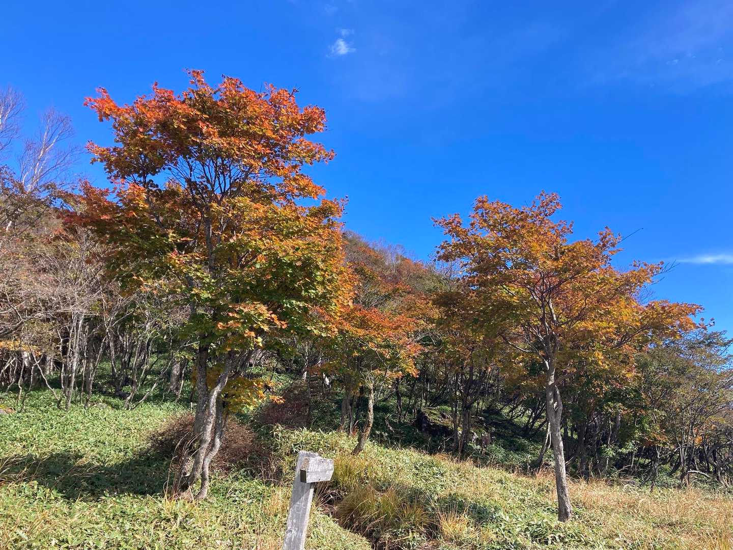 黒檜山-駒ヶ岳コースの写真