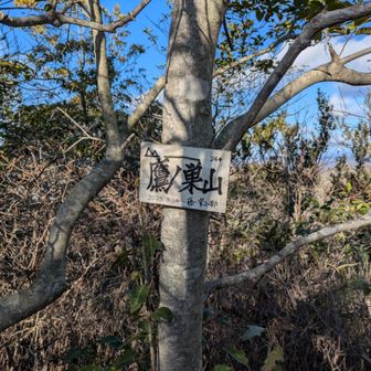 鷹ノ巣山頂に到着