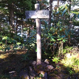 竜巻山到着です。
樹林帯の中なので
展望はないです