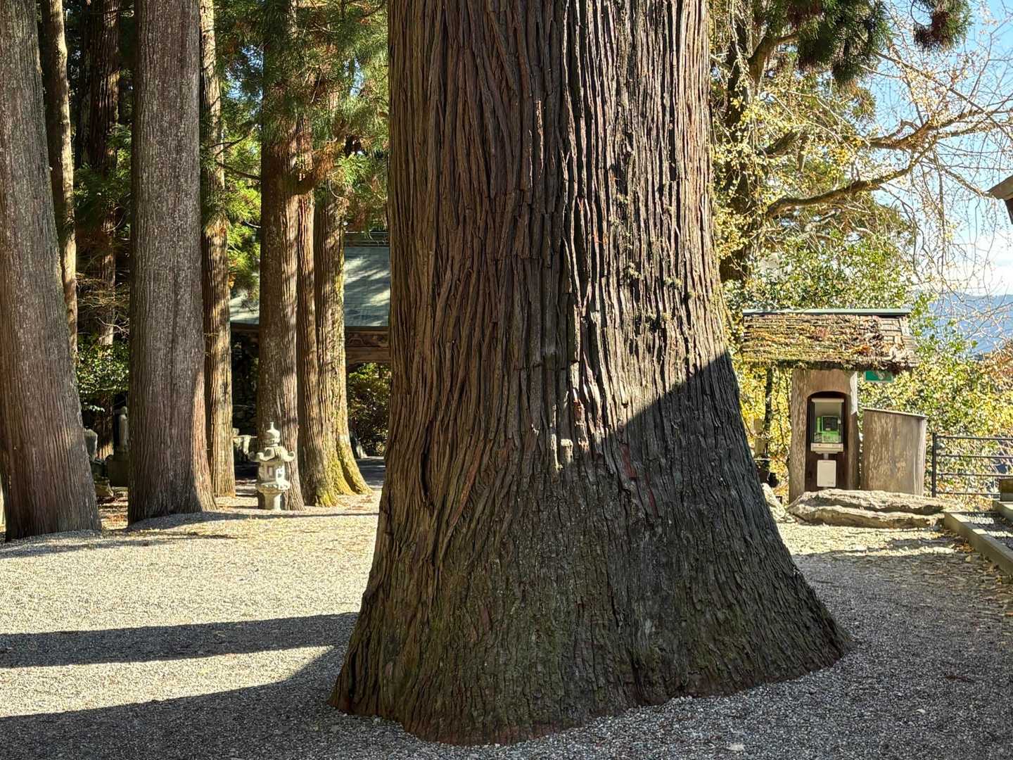 焼山寺山 往復コースの写真