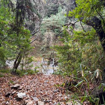 お！ココまでくればあと少し